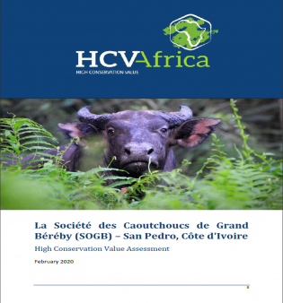 hcv-africa