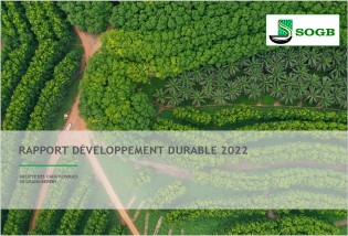 rdd-2022