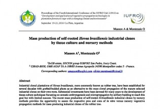 production-de-plants-d-hevea-par-embryogenese