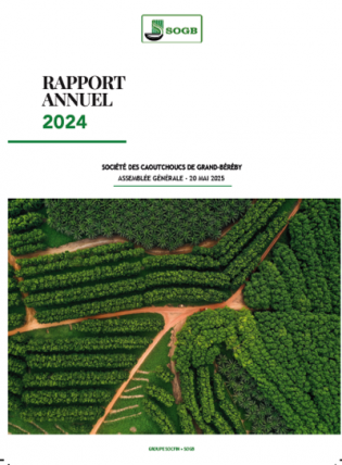 coverrapport-annuel-2024